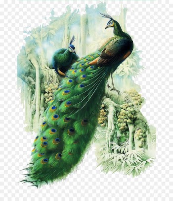 Painting Work of art Peafowl - peacock 