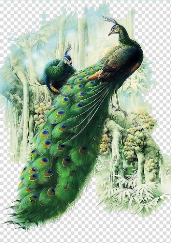 Painting Work of art Peafowl, peacock, green peacock transparent background PNG clipart