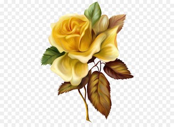 Painting Yellow Rose Oil paint - Yellow Rose Painted Picture Clipart 