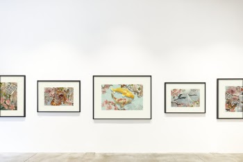 Paintings Hanging On Wall