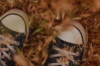 pair of black-and-white shoes surrounded by brown dried grasses