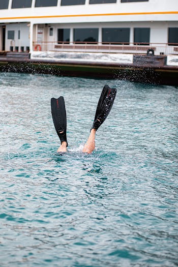 Pair of Black Flippers