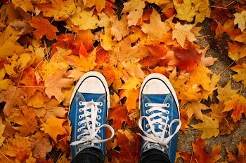 Pair Of Blue Converse All-star Shoes