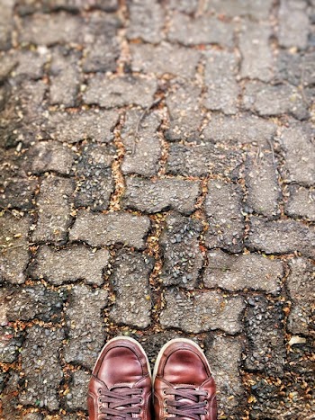 Pair Of Brown Shoes
