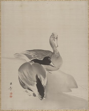 Pair of Ducks | Free Photo - rawpixel