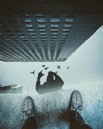 Pair Of Grey Sneakers