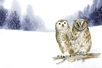 Pair of owls in a winter wonderland watercolo.. | Free stock vector - 489653