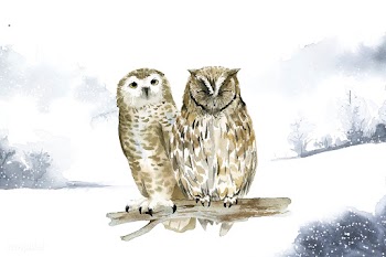 Pair of owls in a winter wonderland watercolo.. | Free stock vector - 489655