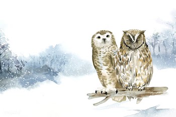 Pair of owls in a winter wonderland watercolo.. | Free stock vector - 489656