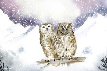 Pair of owls in a winter wonderland watercolo.. | Free stock vector - 489657