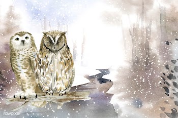 Pair of owls in a winter wonderland watercolo.. | Free stock vector - 489705