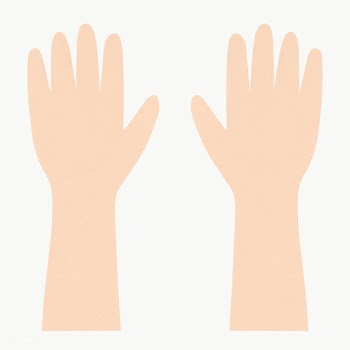 Pair of raised human hands transparent png | Free  transparent png - 2311582