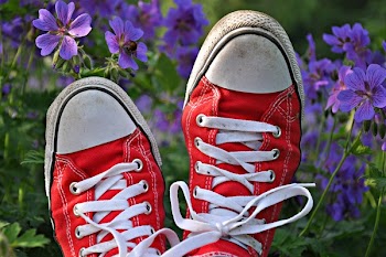 Pair of Red Converse All-star High-tops Selective Focus Photography