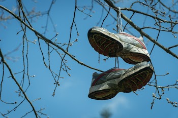 Pair of Shoes Hanging on Tree Branch