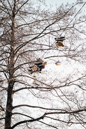Pair of Sneakers Hanging Outdoor