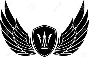 Pair Of Stylish Decorative Vector Wings With Shields And Crown ...