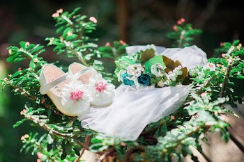 Pair of White Mary Jane Shoes on Green Leafed Plant