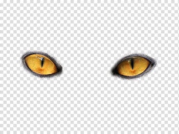 Pair of yellow cats eyes, Cat's eye Light, Eyes transparent background PNG clipart
