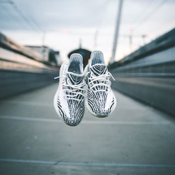 pair of zebra adidas Yeezy Boost 350 v2 shoes up in the air