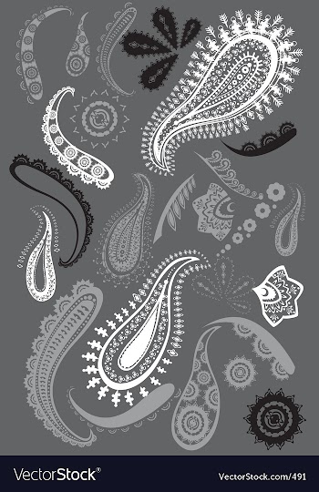 Paisley design elements vector image