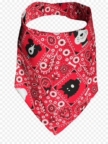 Paisley, Kerchief, Headband, Red, Pink PNG