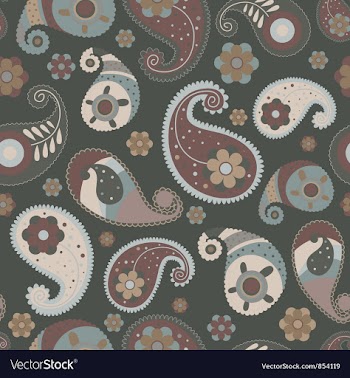 Paisley seamless pattern vector image