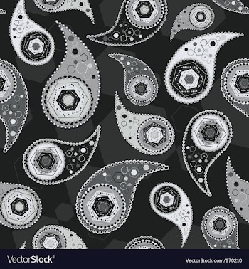 Paisley seamless pattern vector image