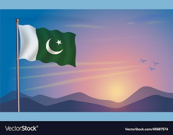 pakistan flag in the morning sun