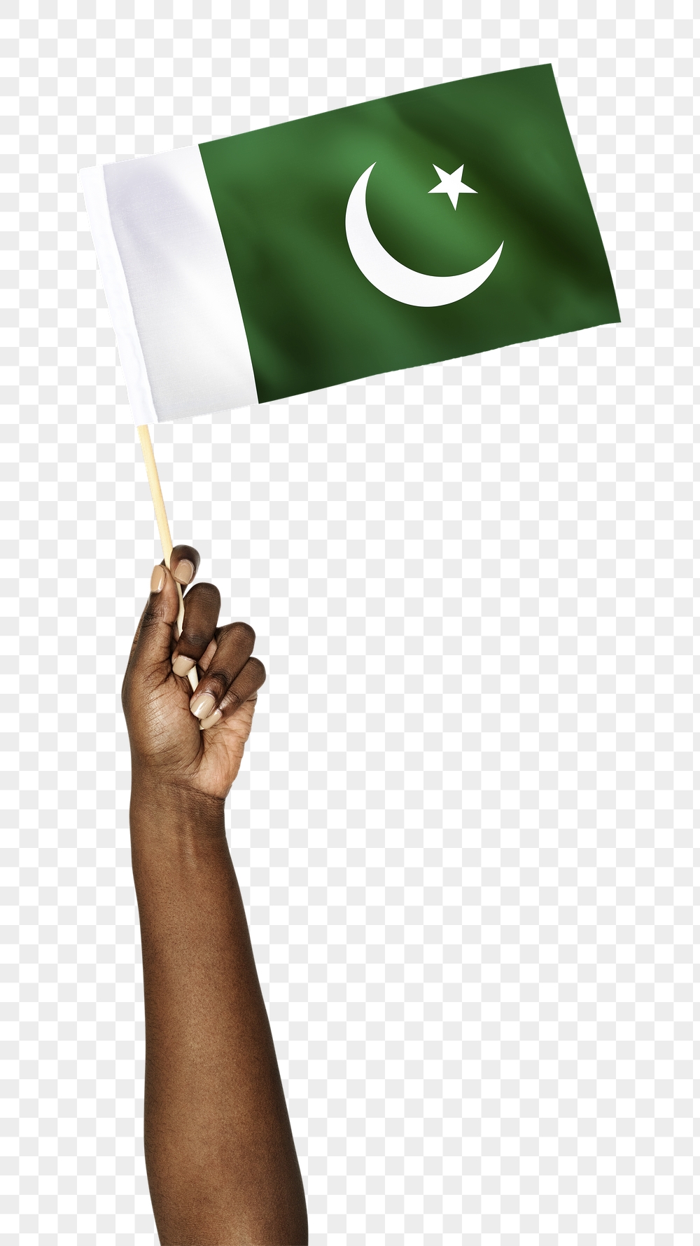 Pakistan's flag png in black | Free PNG - rawpixel