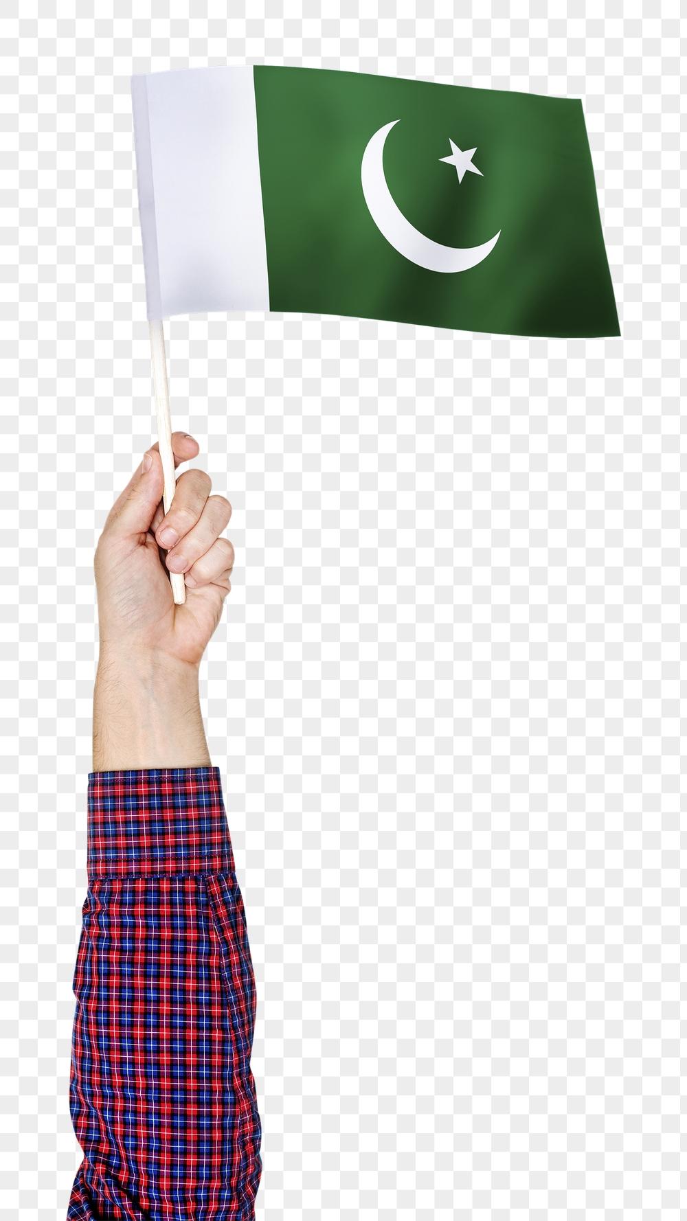 Pakistan's flag png in hand | Free PNG - rawpixel