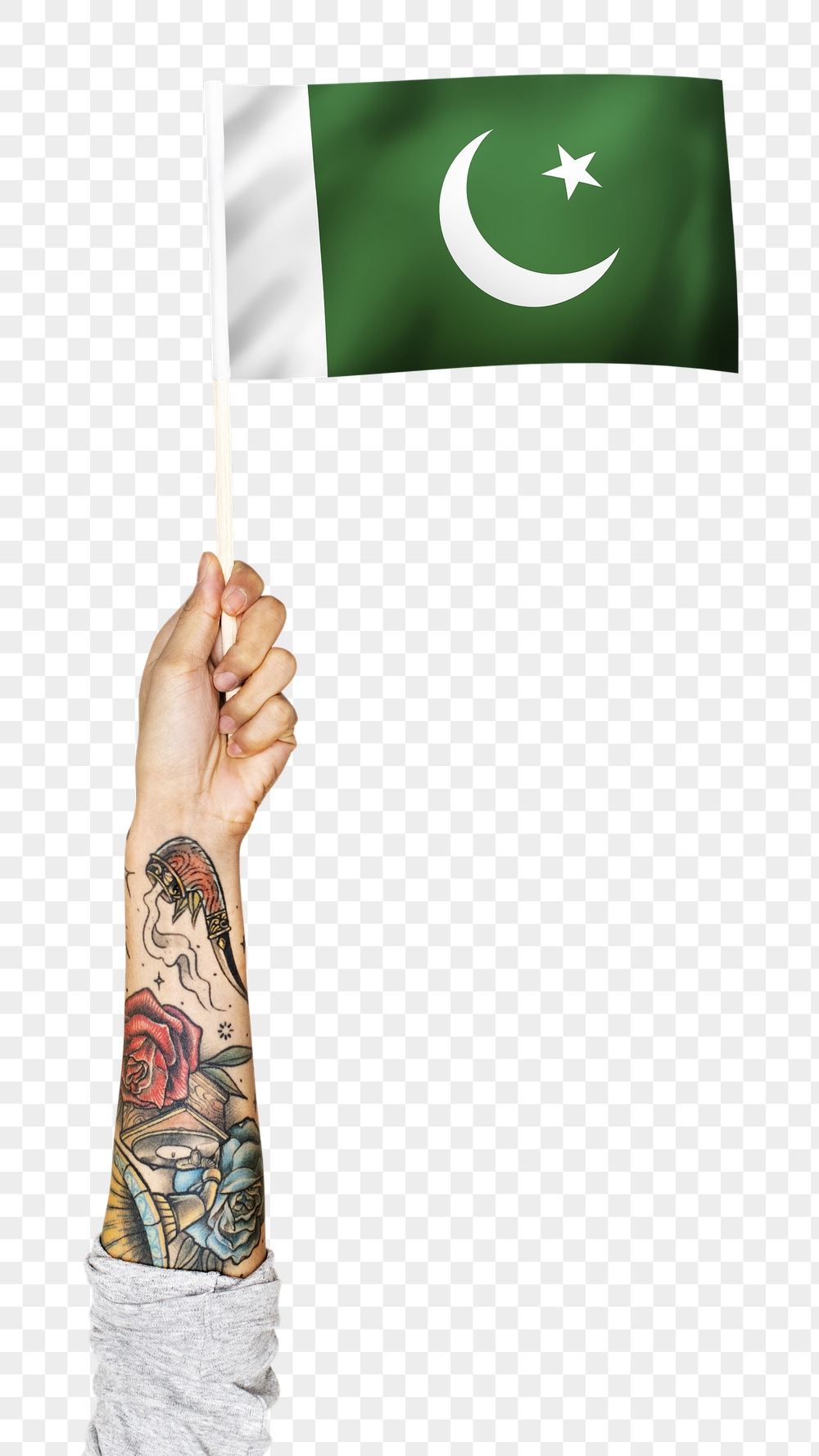 Pakistan's flag png in tattooed | Free PNG - rawpixel