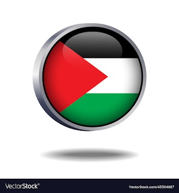 palestine flag button