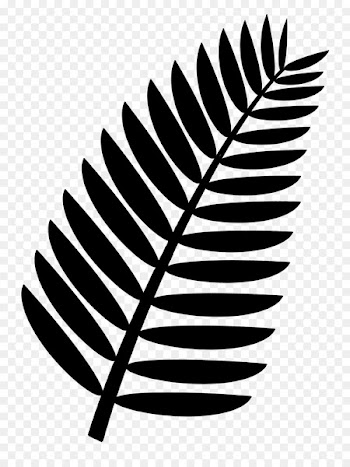 Palm branch Arecaceae Frond Clip art - Leaf 