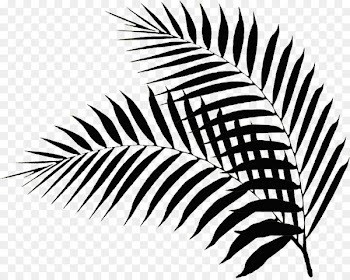 Palm branch Leaf Hotel Palm Sunday Photography - palm leaves 