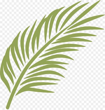 Palm branch Palm Sunday Arecaceae Clip art - banana leaf 