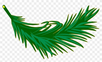 Palm Frond - Palm Leaf Clip Art