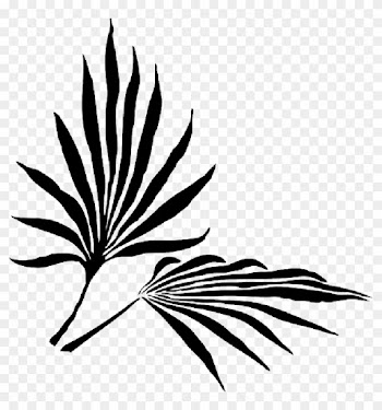 Palm Fronds Png « Search Results « Landscaping Gallery - Palm Leaf Silhouette Png