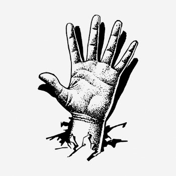 Palm hand drawn illustration. Free | Free Photo - rawpixel