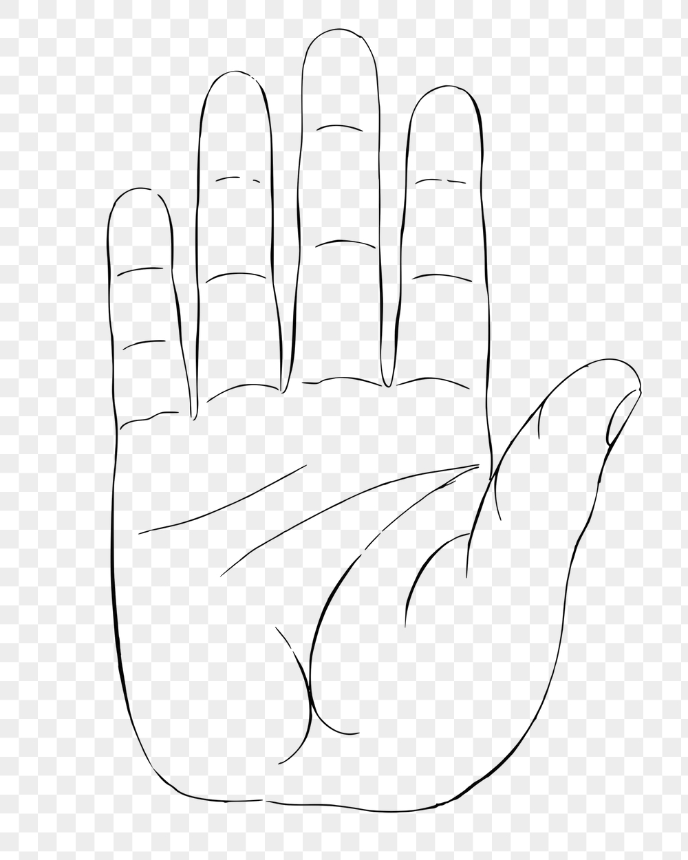 Palm hand png sticker, body | Free PNG - rawpixel