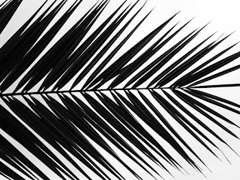 Palm Leaf