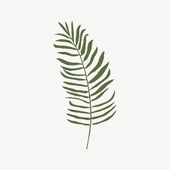 Palm leaf branch collage element | Free Vector Illustration - rawpixel
