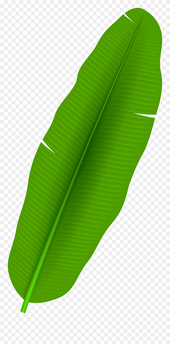 Palm Leaf Clip Art Png - Banana Leaves Clipart Png Transparent Png ...