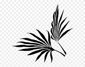 Palm Leaf Free Clipart - Palm Frond Clip Art
