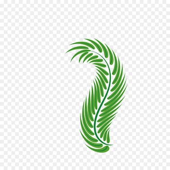Palm-leaf manuscript Green Arecaceae - Easter palm leaves 