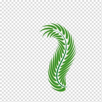 Palm-leaf manuscript Green Arecaceae, Easter palm leaves transparent background PNG clipart