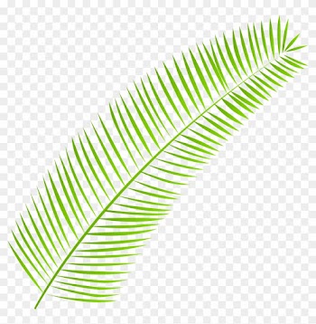 Palm Leaf Png Clip Art - Palm Leaf Png Clip Art