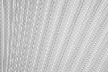 Palm leaf png overlay, abstract | Free PNG - rawpixel