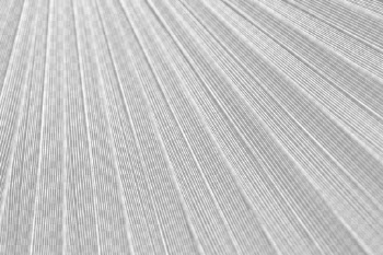 Palm leaf  png overlay, | Free PNG - rawpixel