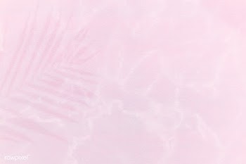 Palm leaf shadow on a light pink background | Free  illustration - 2345327
