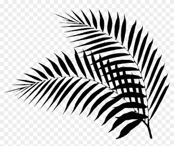 Palm Leaves - Black And White Palm Leaf Png